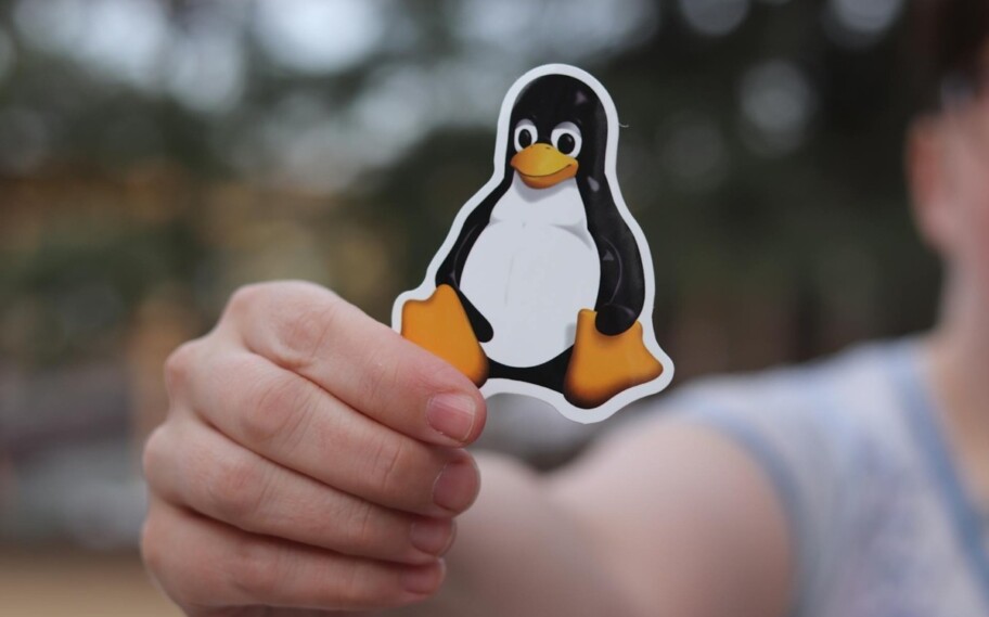 Linux supera 3% dos jogadores pela primeira vez no Steam