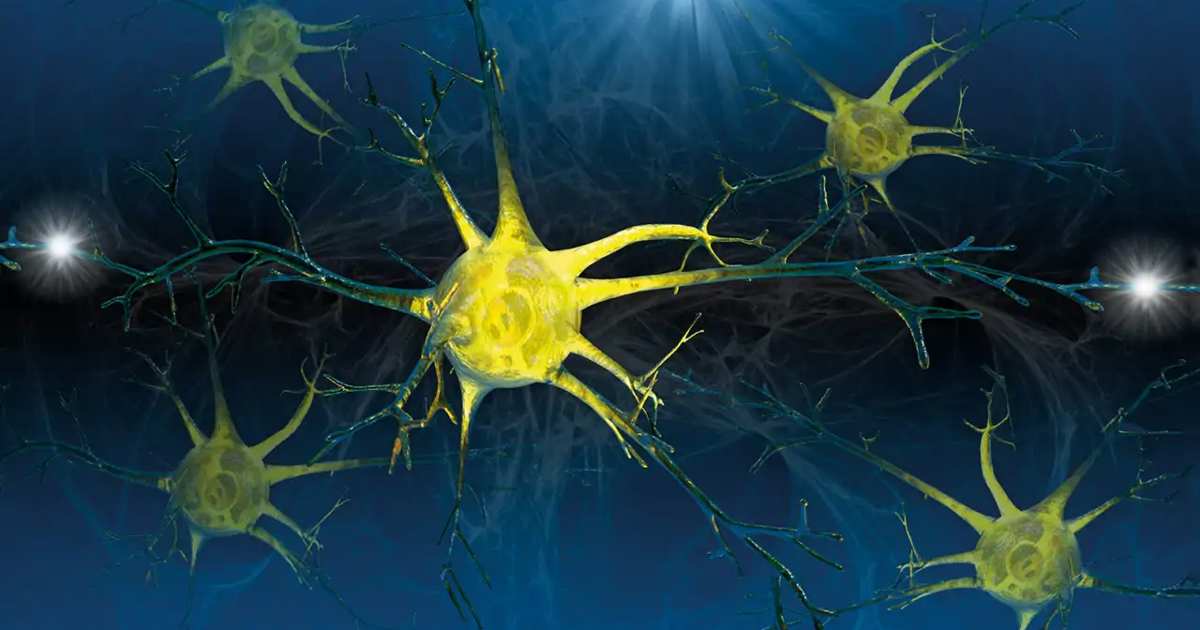 A regeneração neuronal, mais próxima do que nunca