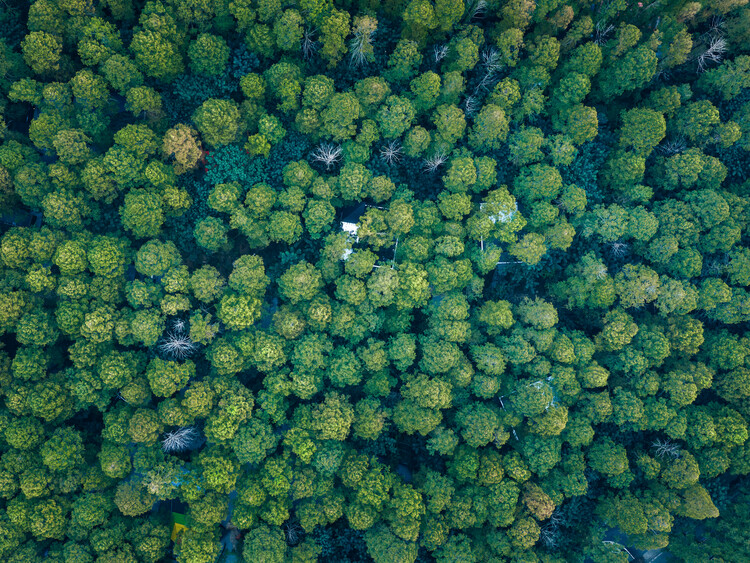 Mundo Wiki Merryda – Acampamento Secreto / Wiki World + Advanced Architecture Lab - Imagem 7 de 51