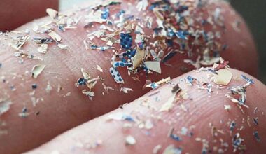 Microplásticos podem afetar a fertilidade de homens e mulheres; entenda