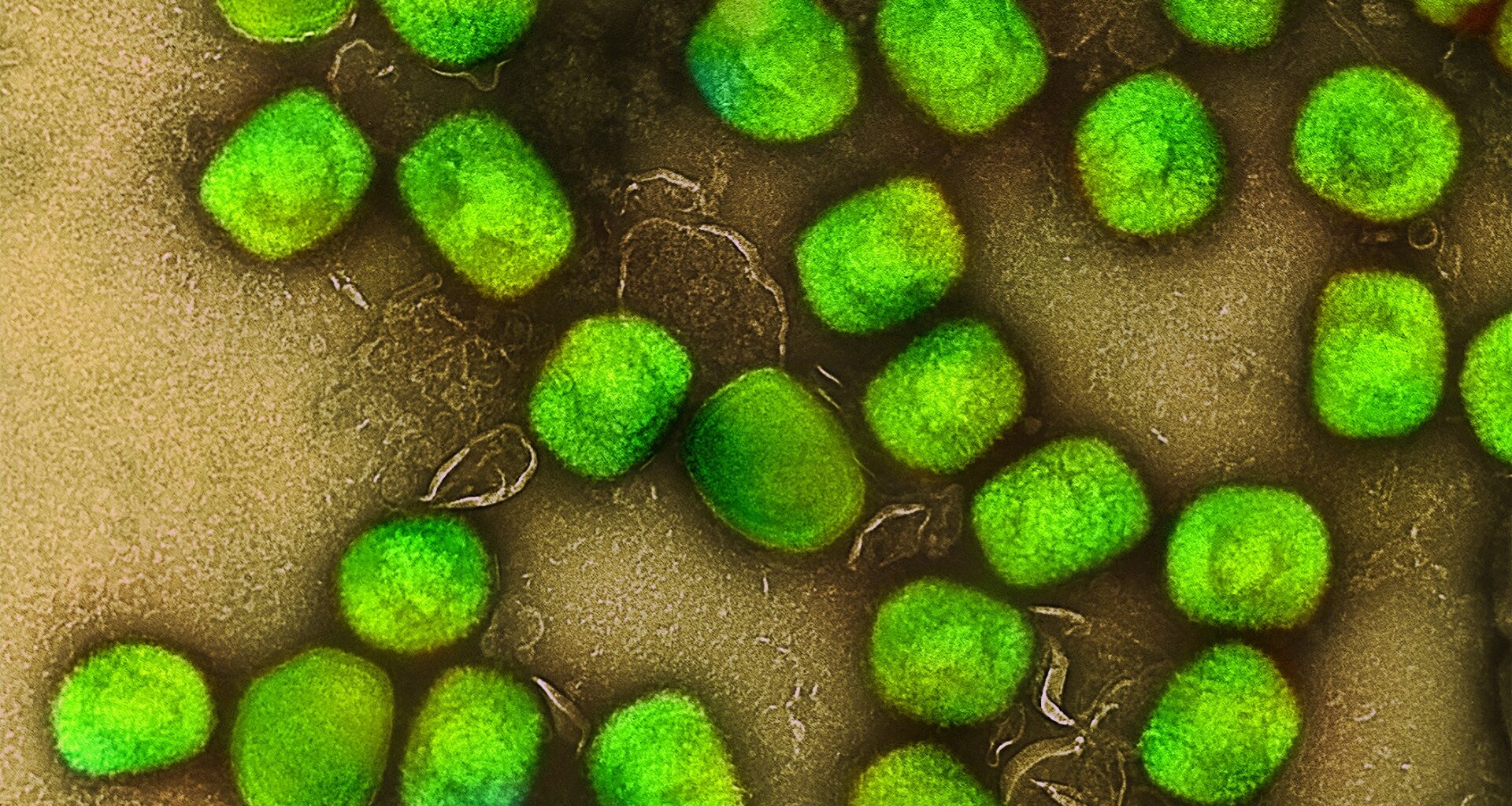 Prescrições médicas gratuitas e ilimitadas