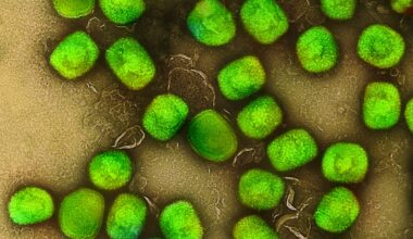 Prescrições médicas gratuitas e ilimitadas