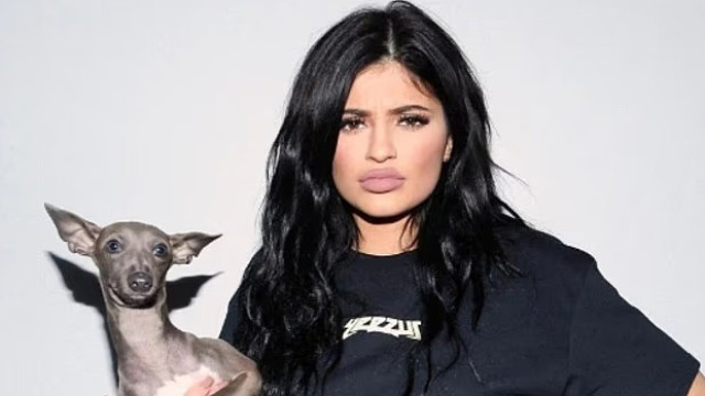 Kylie Jenner chora a morte do seu patudo: