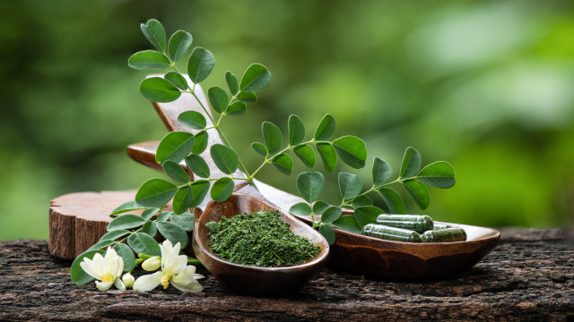 Árvore da vida: A planta poderosa que faz bem ao coração e ao sangue