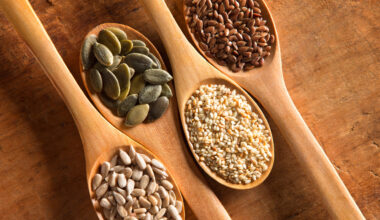 Quais são as sementes que têm mais fibra? Dietistas respondem