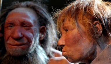 Neandertais e humanos primitivos provavelmente se beijavam, diz estudo