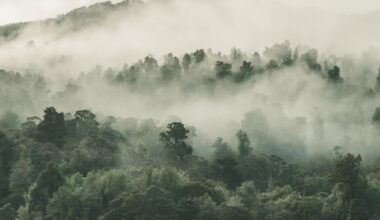 nebulosidade - tempo - frente fria