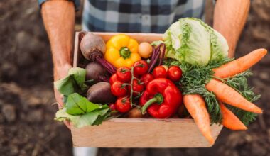 O legume que nutricionistas recomendam para fortalecer a saúde do coração