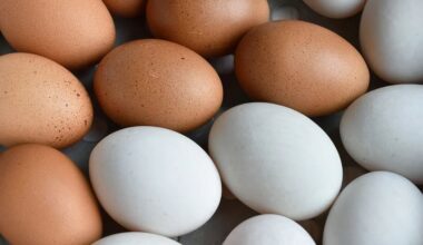 Ovos podem tornar-se um produto de luxo até ao Natal. Setor alerta que preços vão disparar por causa da gripe aviária