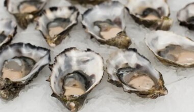 especialistas explicam a potência nutricional dos pequenos tesouros do mar (mas tenha cuidado ao consumi-los)