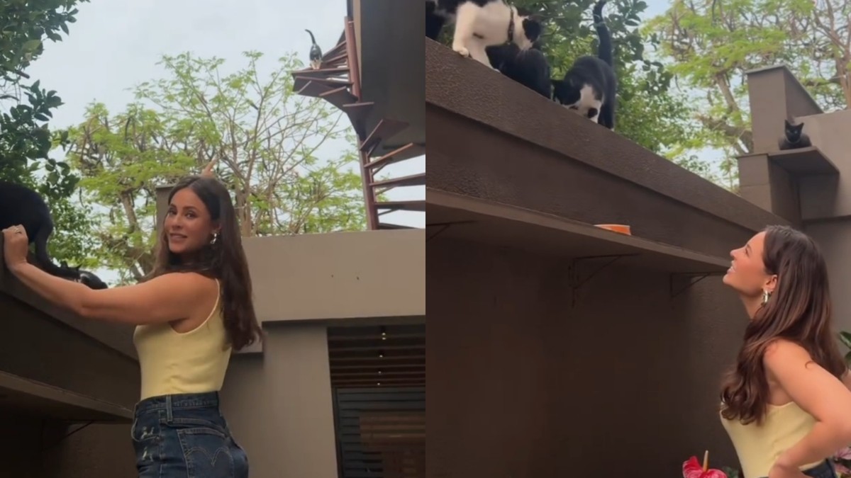 'Amei o telhado com as escadas'