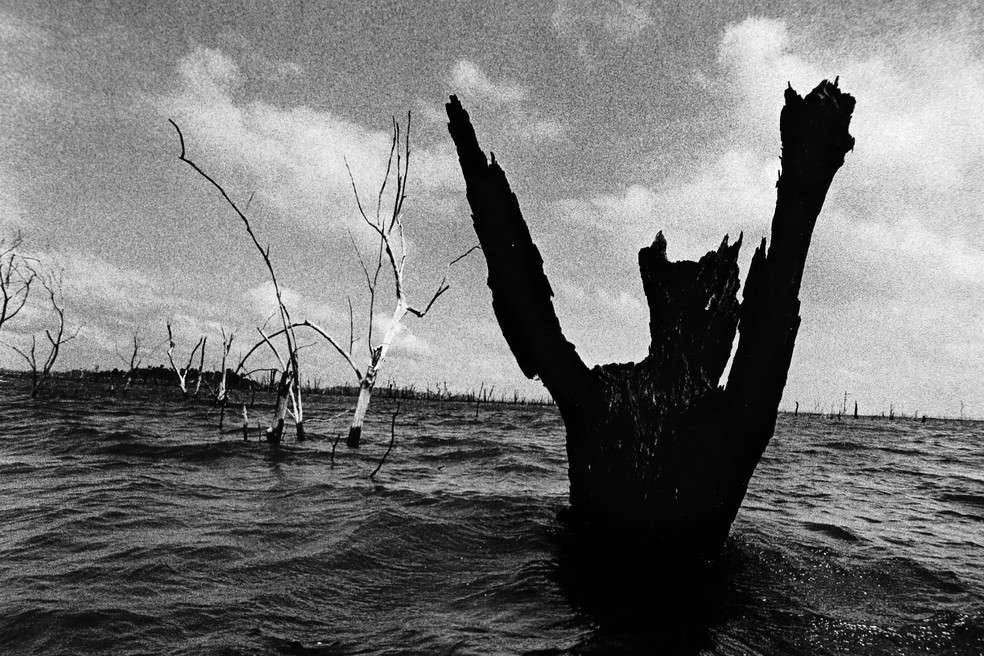 Lago em Tucuruí, no Pará — Foto: Paula Sampaio