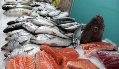 Nutricionista lista 7 alimentos que ajudam a espantar o mau humor