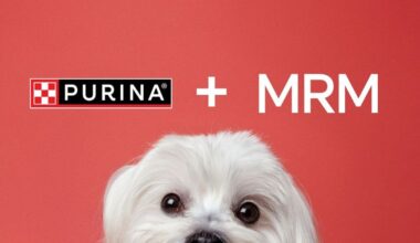MRM Brasil assume projeto digital da Purina na América Latina