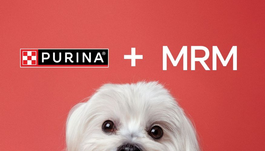 MRM Brasil assume projeto digital da Purina na América Latina