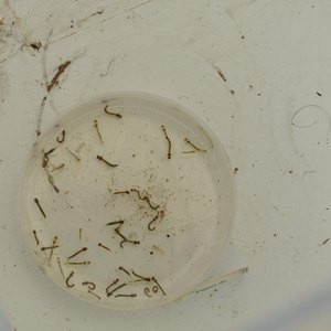 Em Tempo Notícias | O portal de notícias de Turismo e Negócios de Alagoas