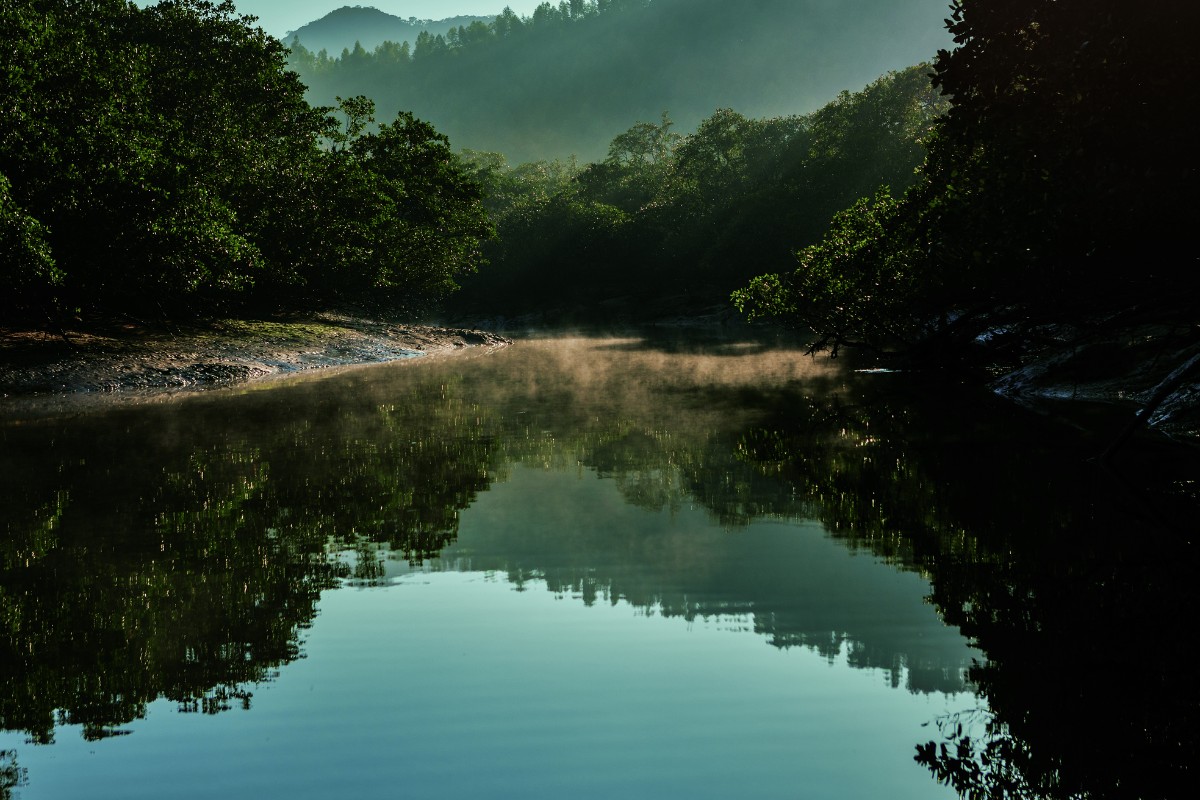 Fotografia de Enrico Marone exposta na mostra "Manguezal", no CCBB — Foto: Divulgação/Enrico Marone