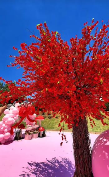 Decoração do 1º mêsversário de Eloah - Foto: Reprodução / TikTok