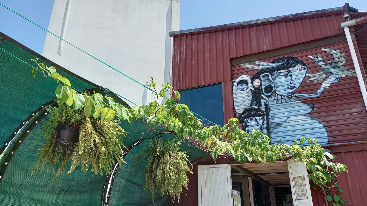 As plantas que ornam a cobertura — Foto: arquivo pessoal