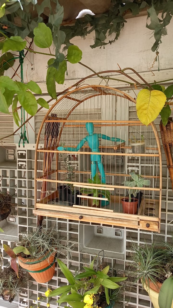 A gaiola boneco e plantas na casa de Nico Puig em São Paulo — Foto: arquivo pessoal