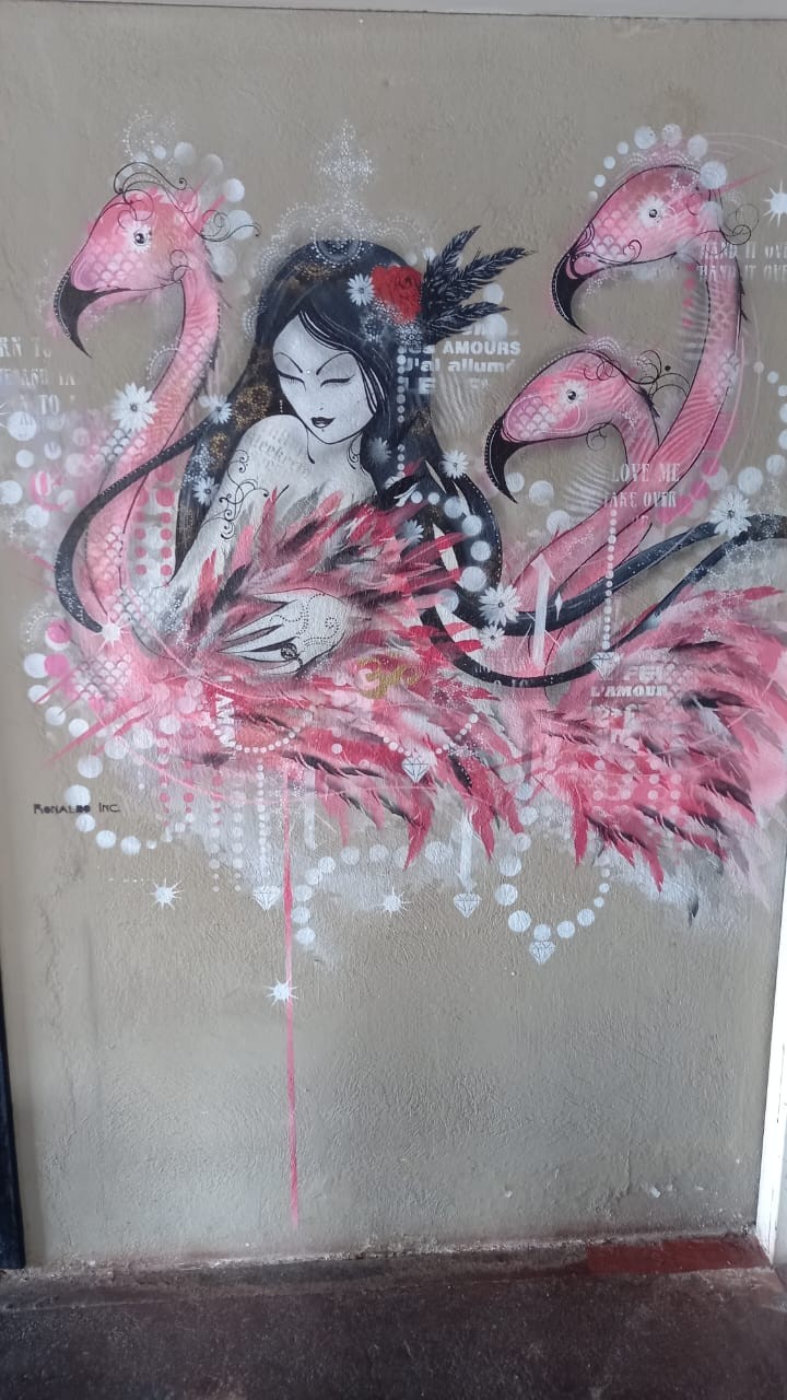 Pintura na parede — Foto: arquivo pessoal