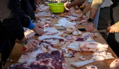 Jornal de Notícias Logo