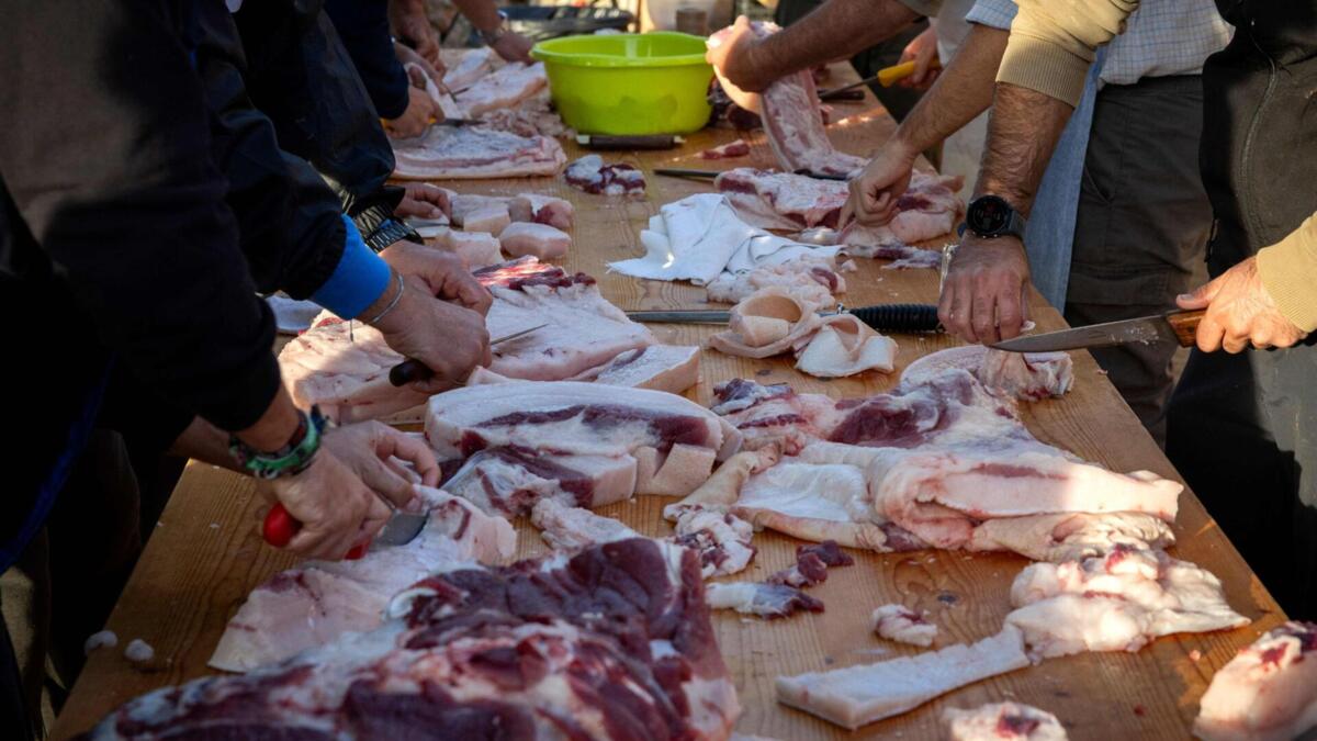 Jornal de Notícias Logo