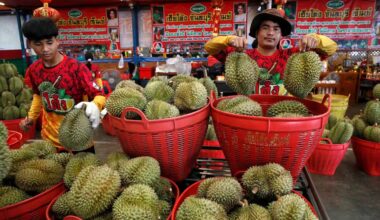 A fruta mais mal cheirosa do mundo é uma loucura na China — e uma arma diplomática