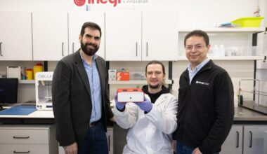 Jornal de Notícias Logo