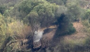 Jornal de Notícias Logo