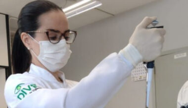 Presença de mosquito da febre amarela acende alerta em SC - Saúde e Bem-Estar