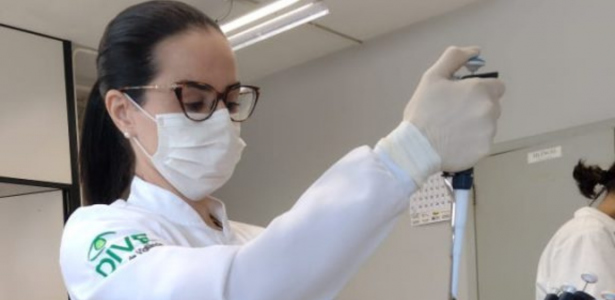 Presença de mosquito da febre amarela acende alerta em SC - Saúde e Bem-Estar