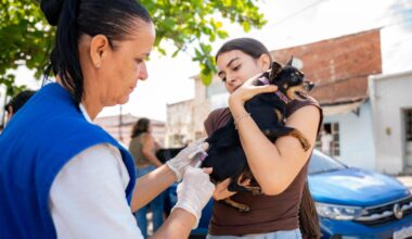 Prefeitura de Maceió | Prefeitura de Maceió vacina mais de 98 mil…