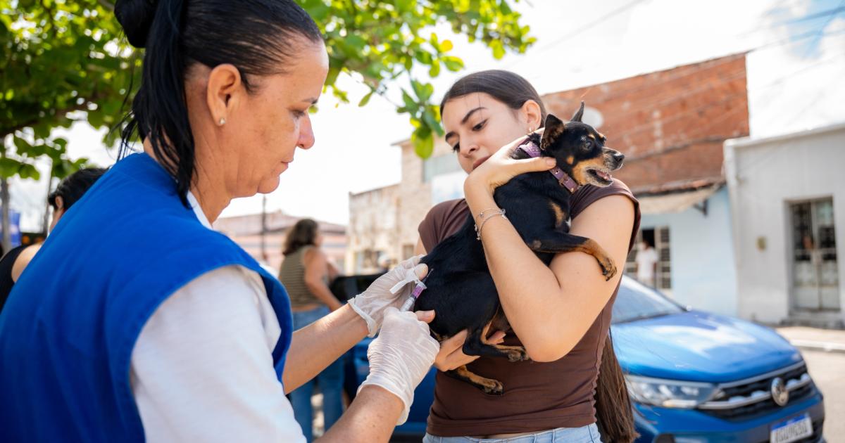 Prefeitura de Maceió | Prefeitura de Maceió vacina mais de 98 mil…