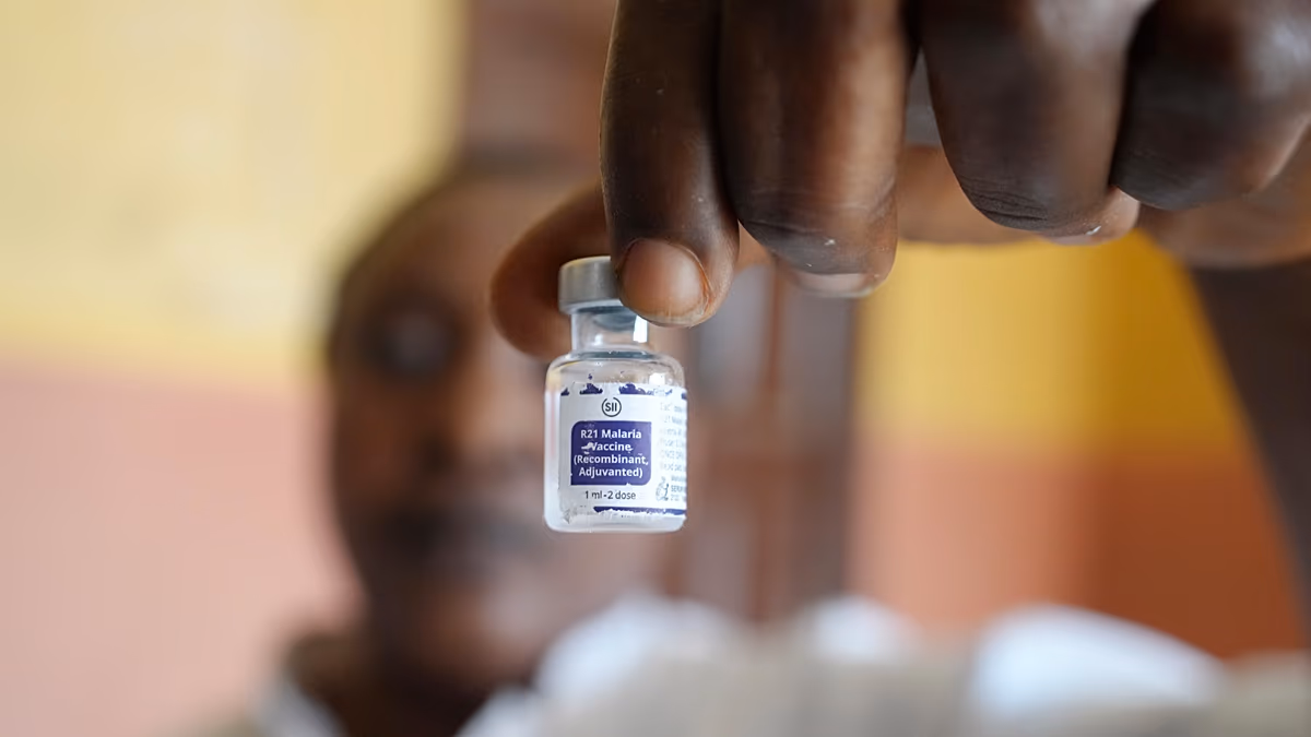 Mortes por malária subiram e cortes no financiamento aumentam risco de regresso, alerta OMS