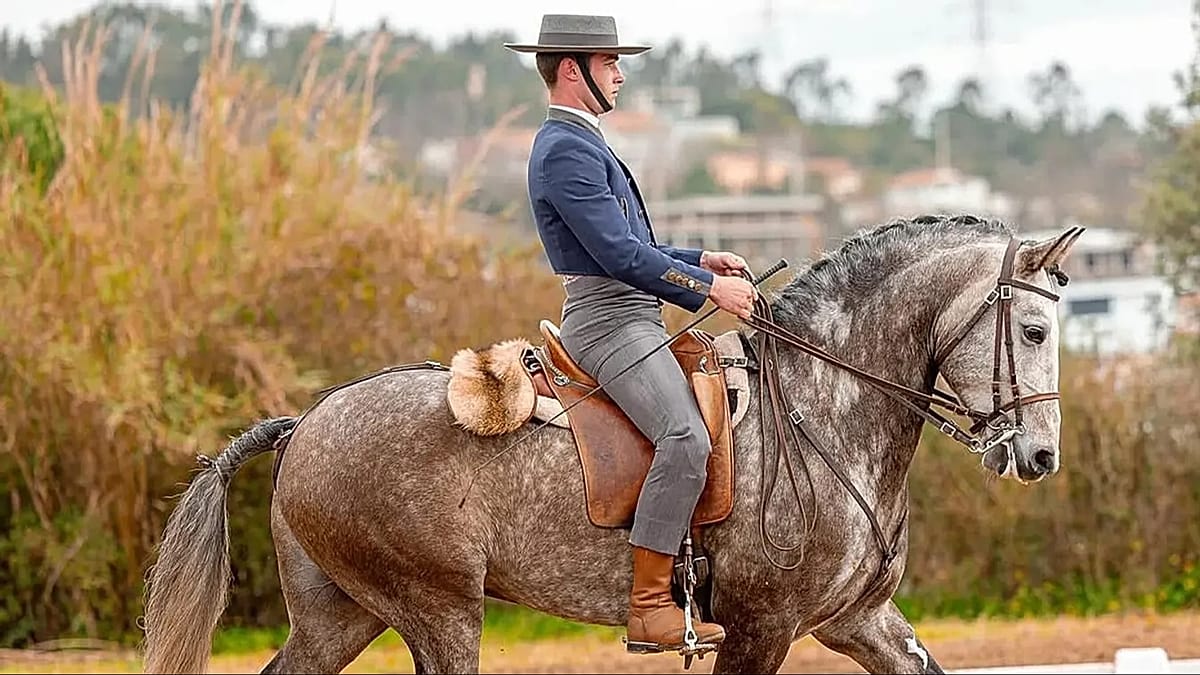 Professor de equitação detido por abuso sexual de menores foi candidato autárquico pelo Chega
