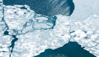 Ícone de sino para notificações