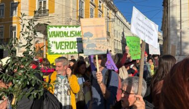 Contra mega centrais solares, "o sol é de quem o ganha e a terra é de quem a amanha"