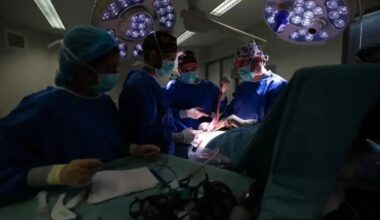 Jornal de Notícias Logo