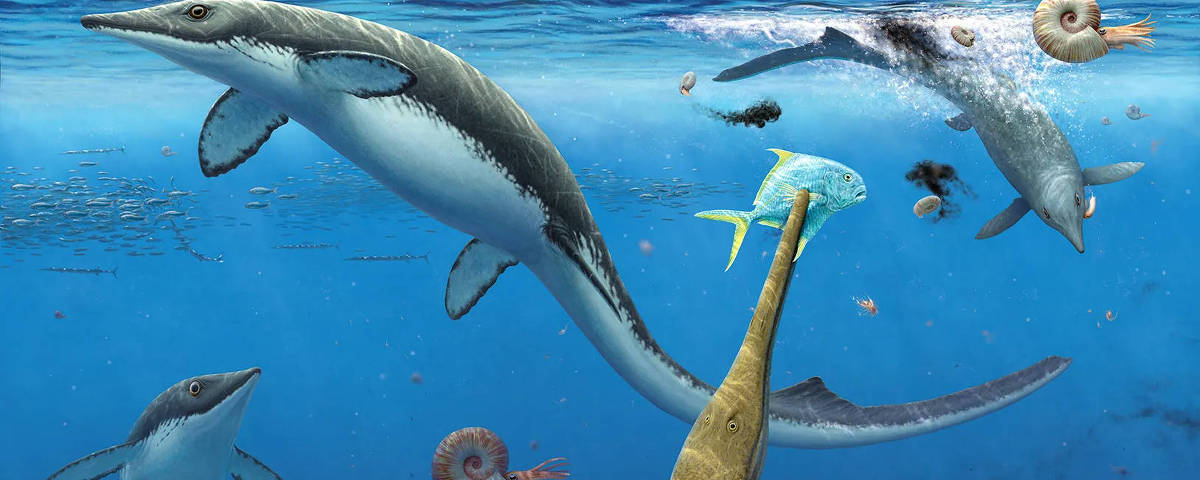 Fósseis do Ártico revelam diversidade de répteis marinhos - 16/12/2025 - Ciência