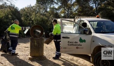 Espanha mobiliza 117 militares para controlar foco de peste suína que pode ter tido origem numa sandes