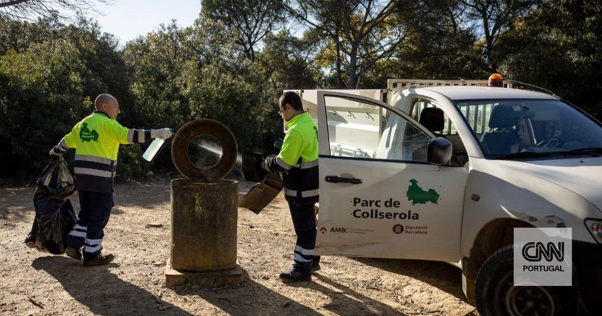 Espanha mobiliza 117 militares para controlar foco de peste suína que pode ter tido origem numa sandes
