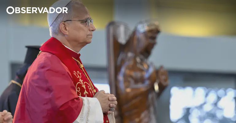 Papa diz que declarações de Trump são "muito incoerentes" – Observador