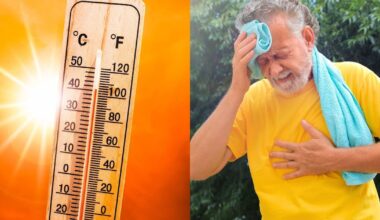 Aquecimento global acelera casos graves de insolação, diz estudo – Noticias R7