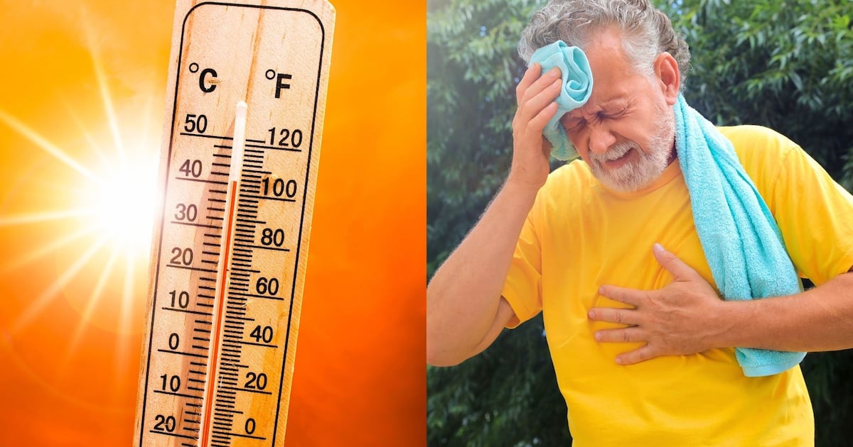 Aquecimento global acelera casos graves de insolação, diz estudo – Noticias R7