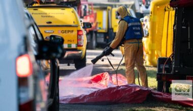 A peste suína africana regressou a Espanha após três décadas e já está a ter impacto em Portugal. Porque é tão grave e como está a afetar os produtores nacionais
