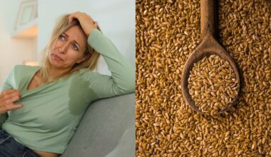 Superalimento pode diminuir calorões e mal-estar na menopausa, aponta pesquisa – Noticias R7