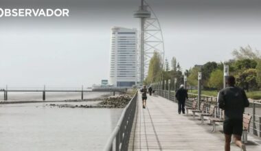 cabo entalado levou a morte de cão no Parque das Nações – Observador