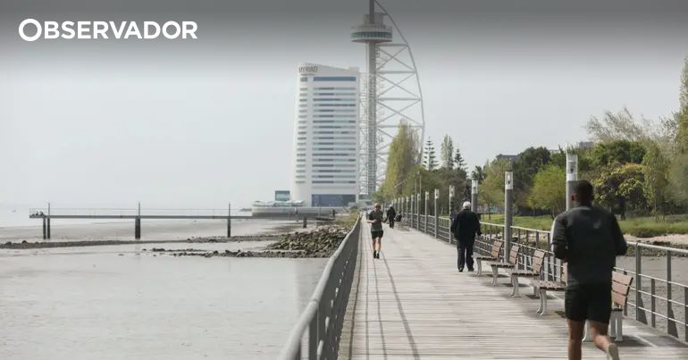 cabo entalado levou a morte de cão no Parque das Nações – Observador