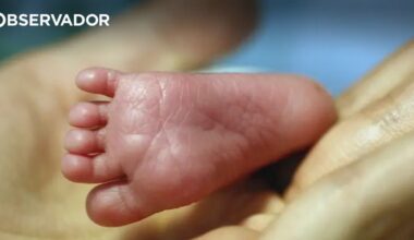 Gaia. Bebé entregue em posto da GNR encontra-se bem – Observador